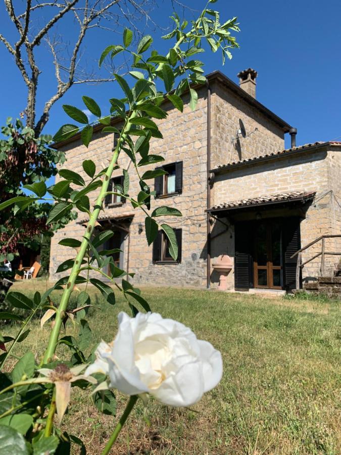 Casa Di Monica Villa Torre San Severo Екстериор снимка